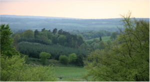 Fertility Retreat Venue, Surrey - View